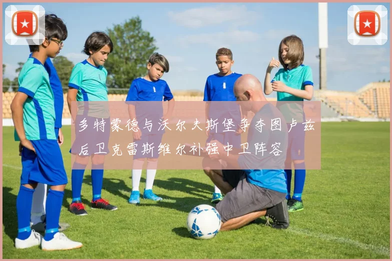 多特蒙德与沃尔夫斯堡争夺图卢兹后卫克雷斯维尔补强中卫阵容
